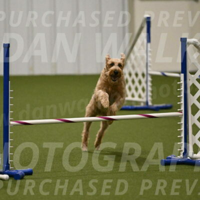 Keegan-Andrea-Ralles-05817