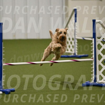 Keegan-Andrea-Ralles-05818