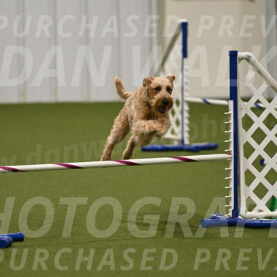 Keegan-Andrea-Ralles-05819