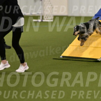 Keegan-April-Green-08948