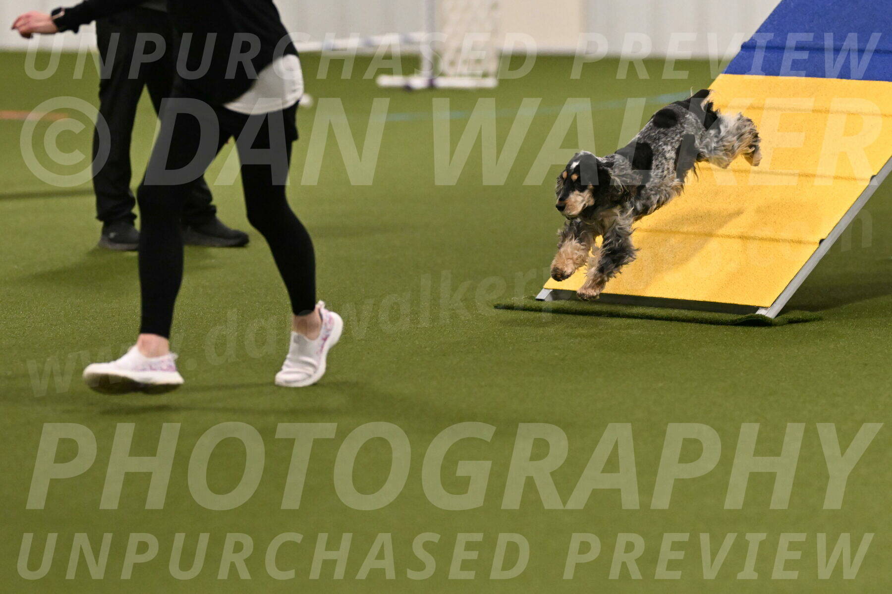 Keegan-April-Green-08949