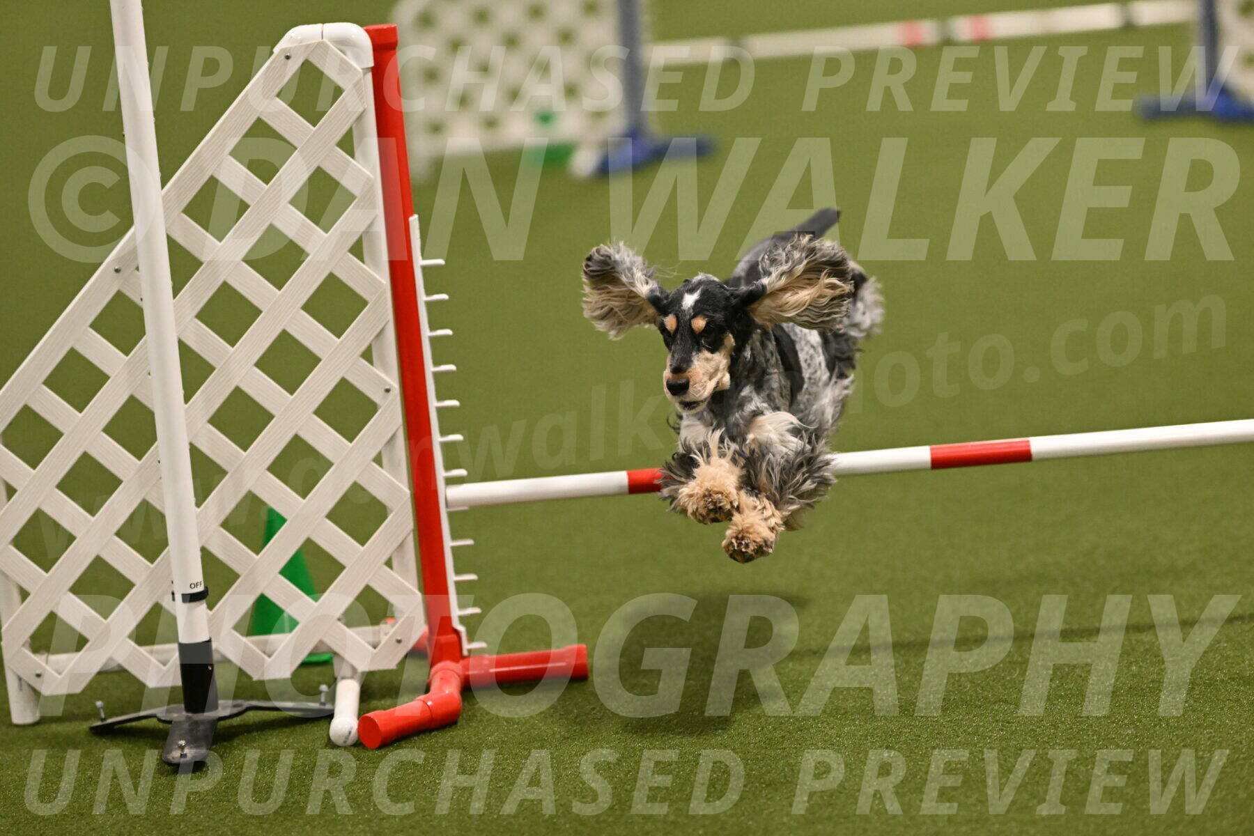 Keegan-April-Green-08958