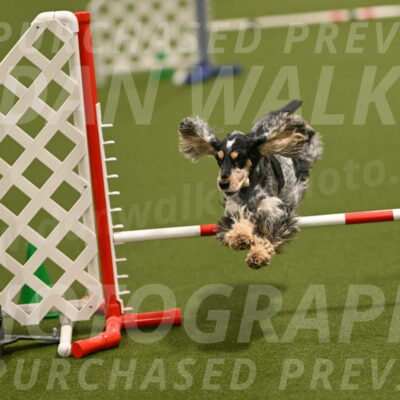 Keegan-April-Green-08958