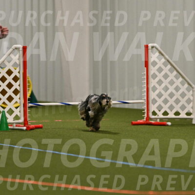 Keegan-April-Green-08959