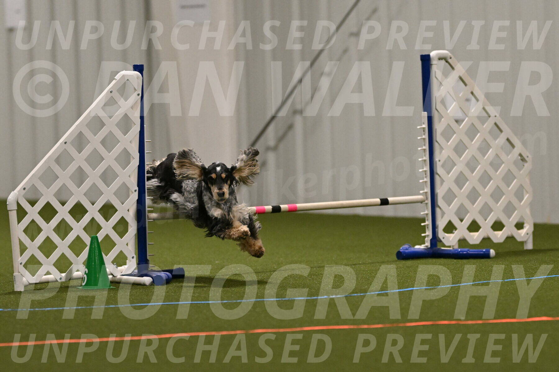 Keegan-April-Green-08961