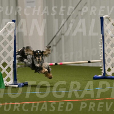 Keegan-April-Green-08961