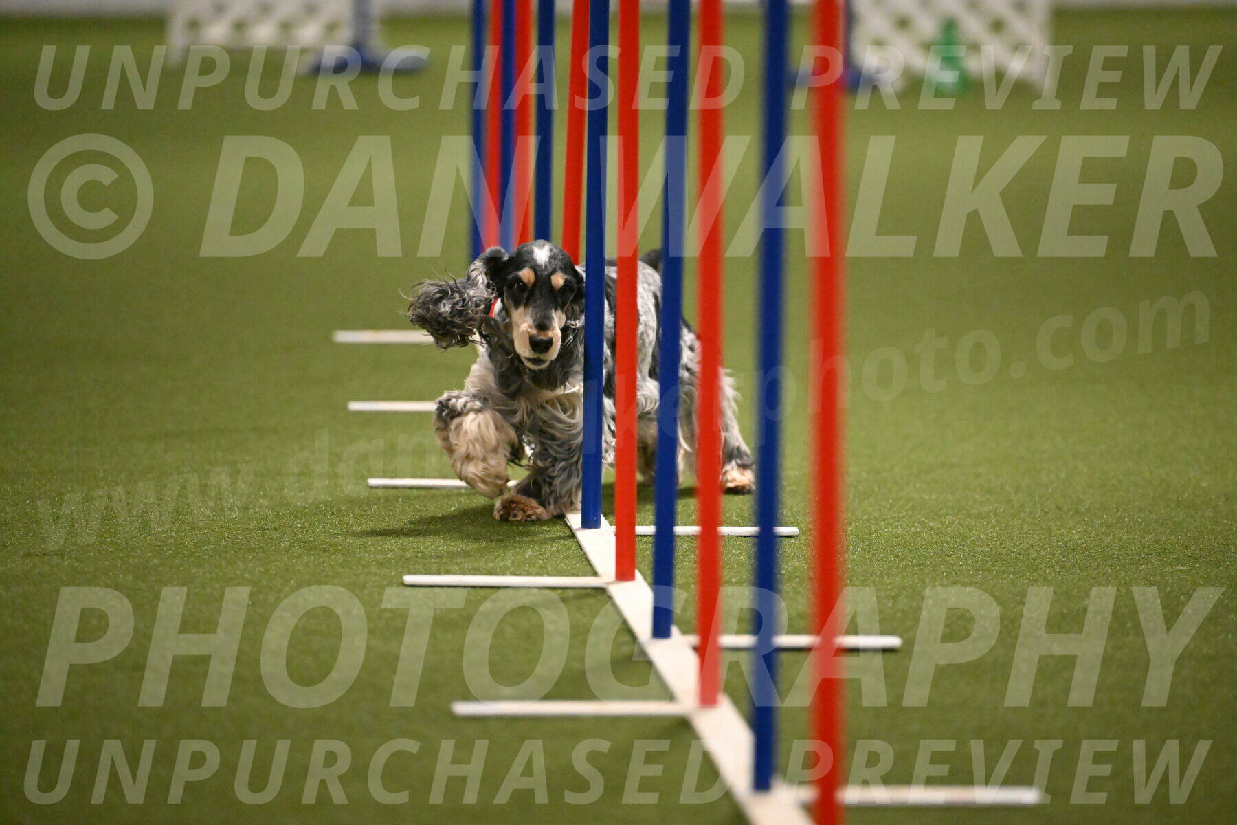 Keegan-April-Green-08967