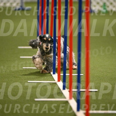 Keegan-April-Green-08967