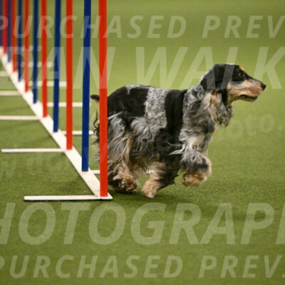 Keegan-April-Green-08976