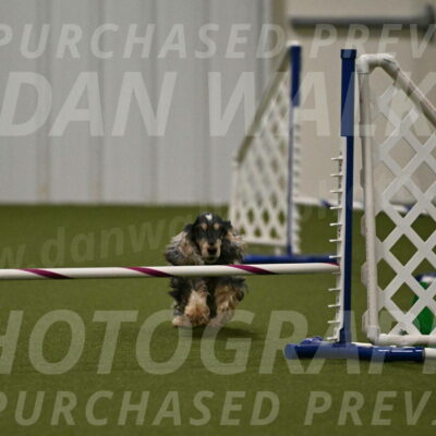 Keegan-April-Green-08977