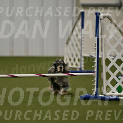 Keegan-April-Green-08978