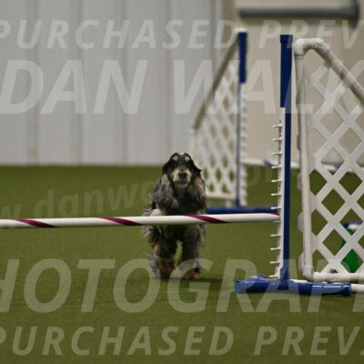 Keegan-April-Green-08979