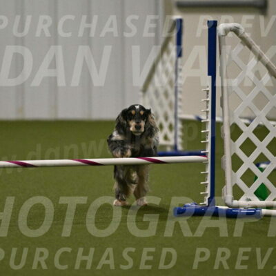 Keegan-April-Green-08980