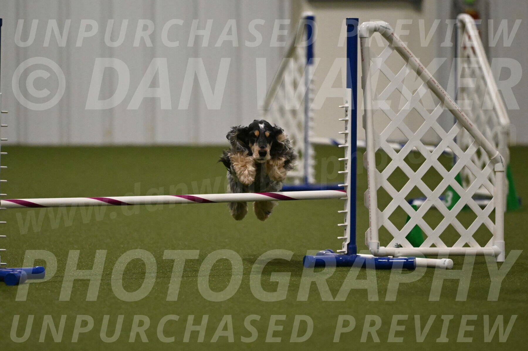 Keegan-April-Green-08981