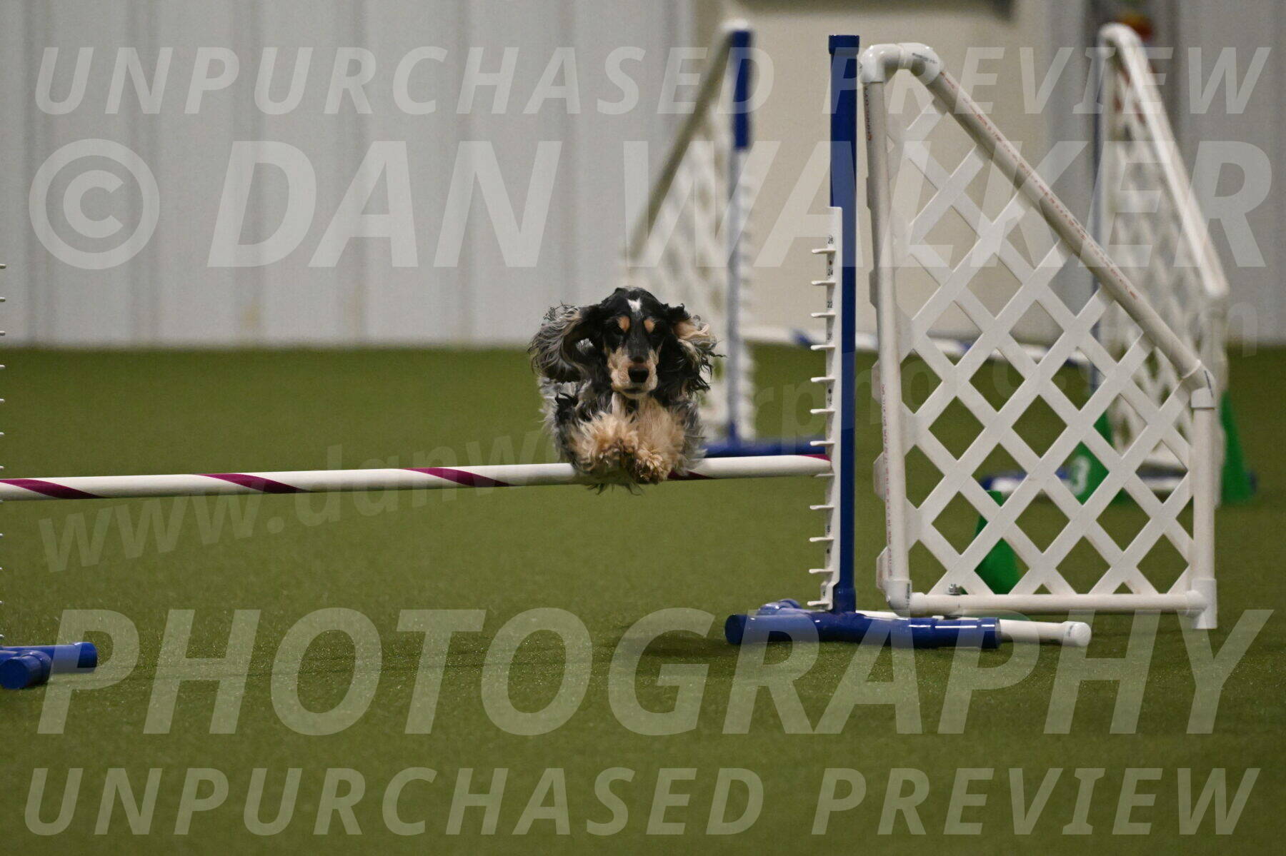 Keegan-April-Green-08982