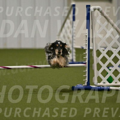 Keegan-April-Green-08982