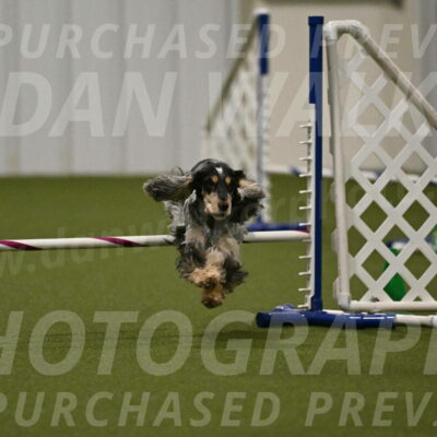Keegan-April-Green-08983