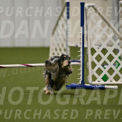 Keegan-April-Green-08985