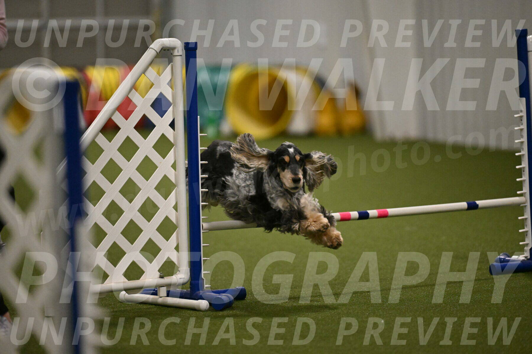 Keegan-April-Green-08986