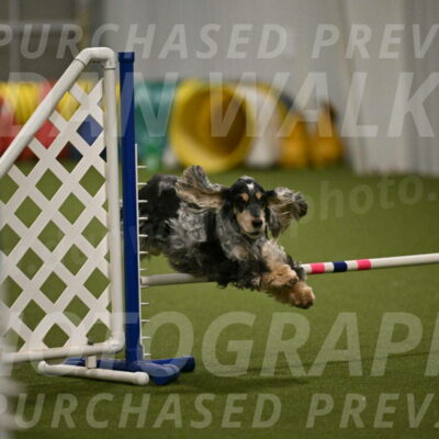 Keegan-April-Green-08986