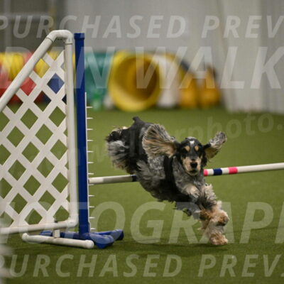 Keegan-April-Green-08987