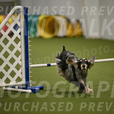 Keegan-April-Green-08988
