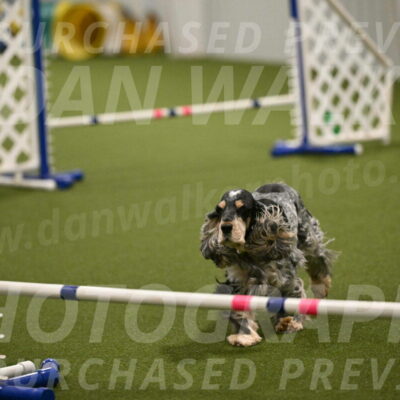 Keegan-April-Green-08991