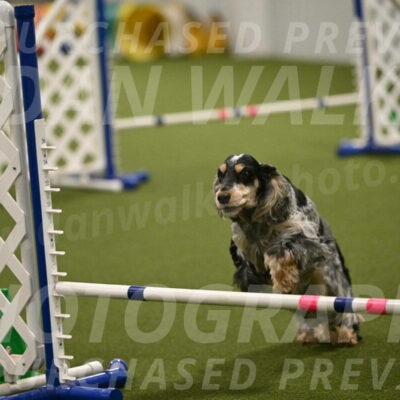 Keegan-April-Green-08993