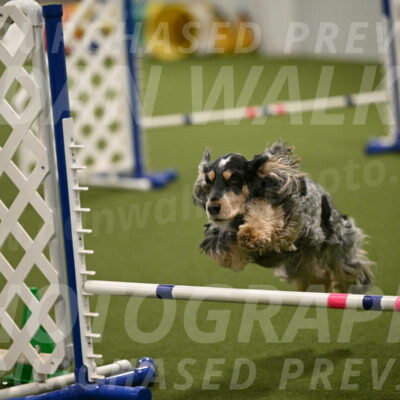 Keegan-April-Green-08994