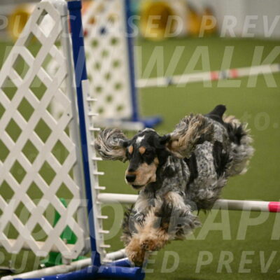 Keegan-April-Green-08996