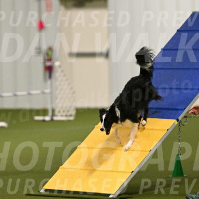 Keeper-Laurie-Wischt-03527