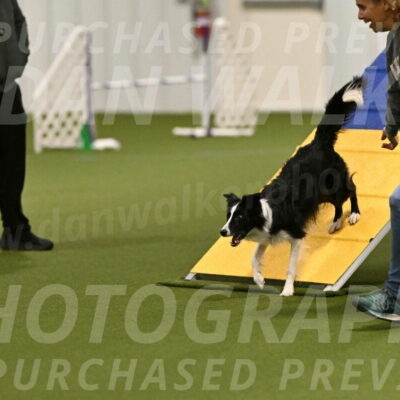 Keeper-Laurie-Wischt-03531