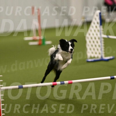 Keeper-Laurie-Wischt-03532