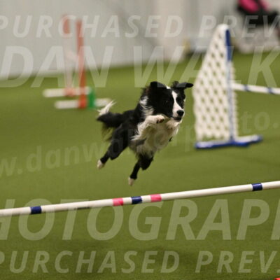 Keeper-Laurie-Wischt-03533