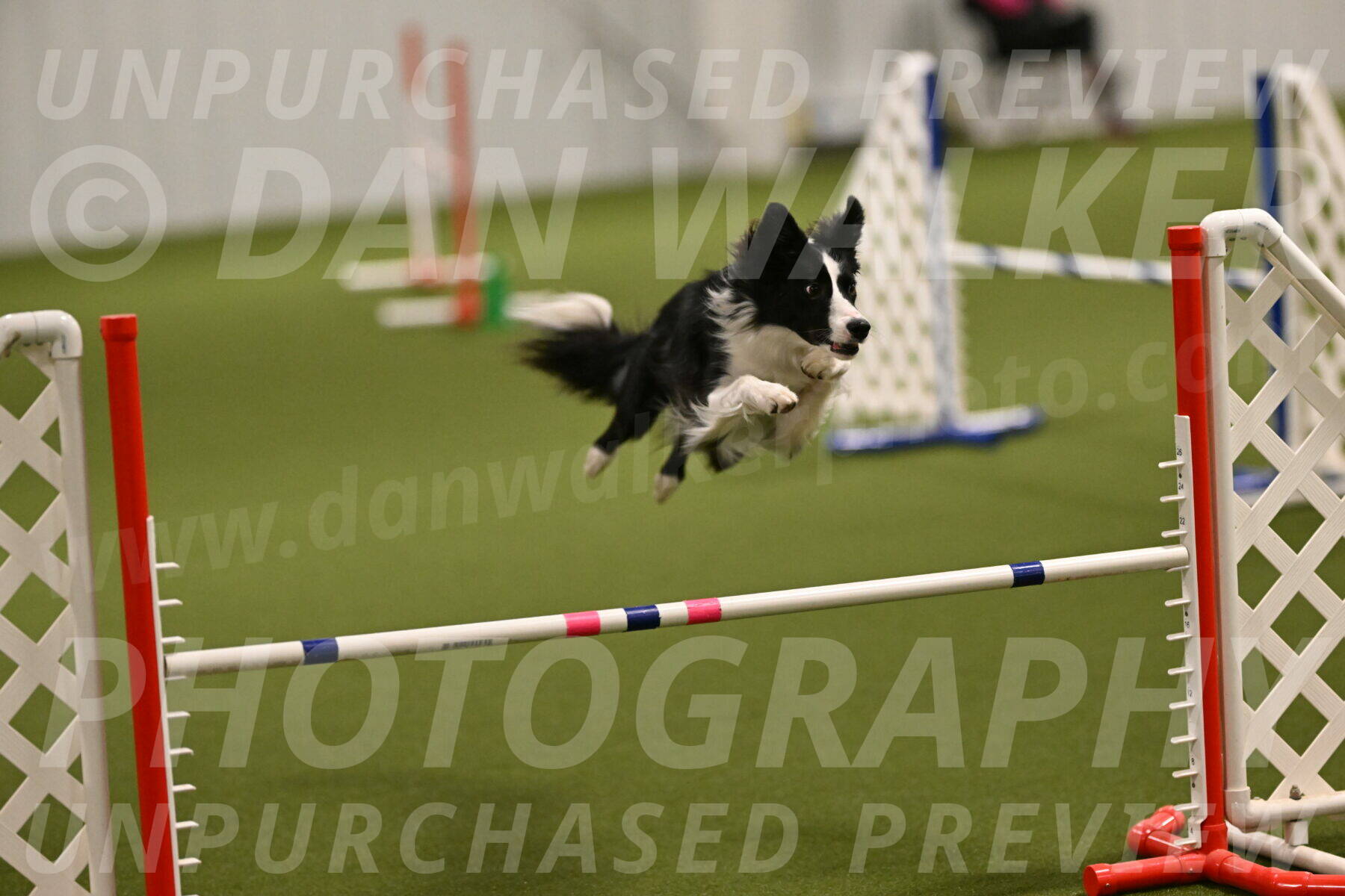 Keeper-Laurie-Wischt-03534