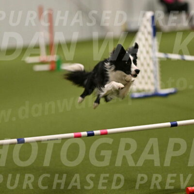 Keeper-Laurie-Wischt-03534