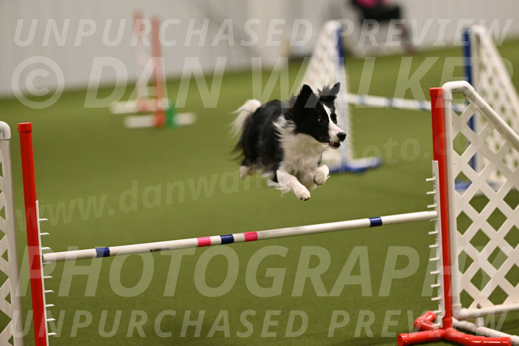 Keeper-Laurie-Wischt-03535