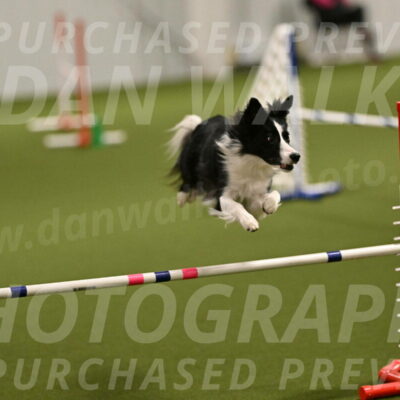 Keeper-Laurie-Wischt-03535