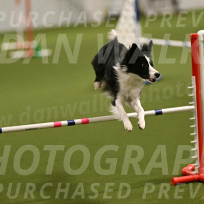 Keeper-Laurie-Wischt-03536