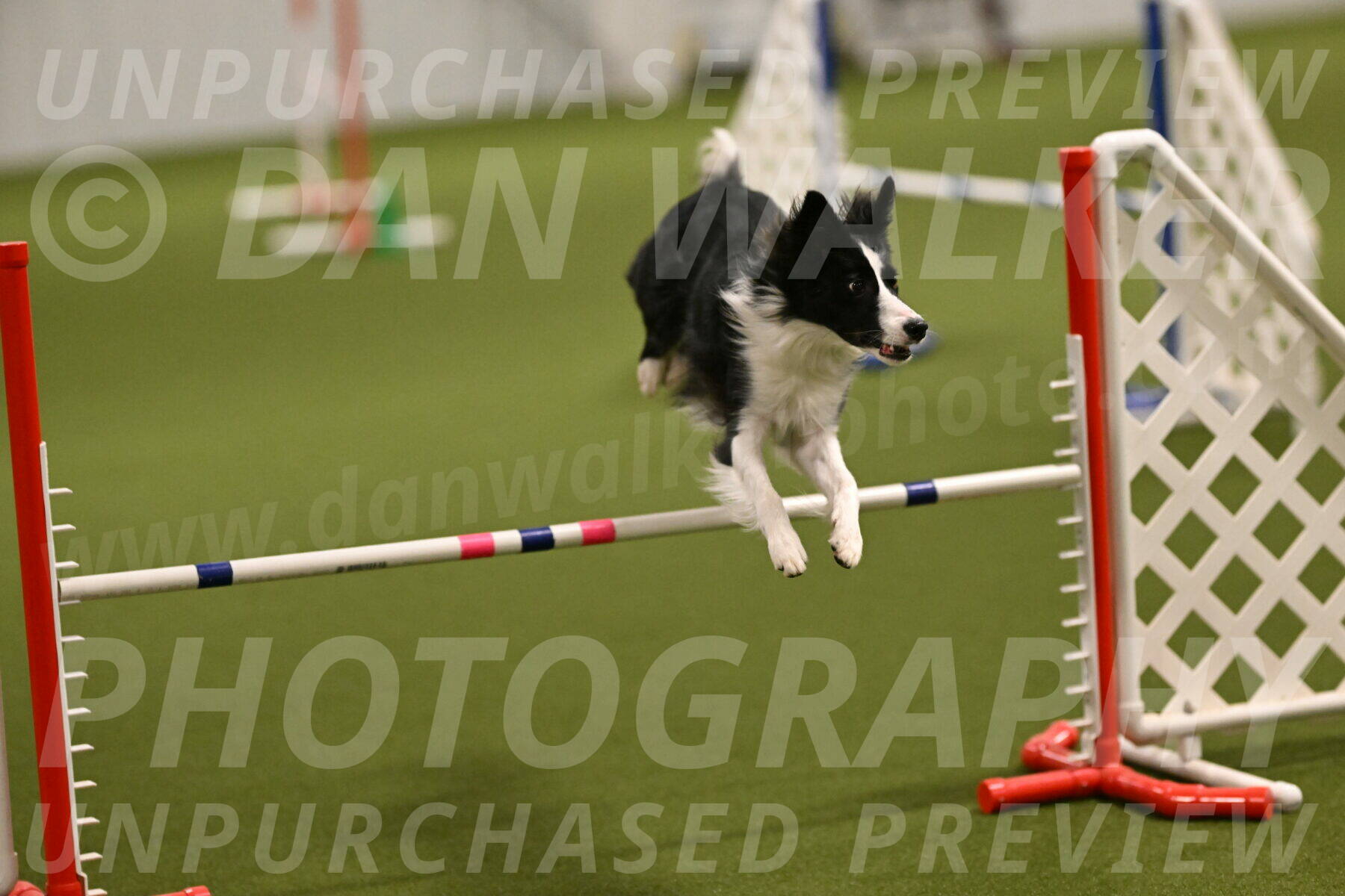 Keeper-Laurie-Wischt-03536