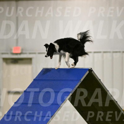 Keeper-Laurie-Wischt-03537