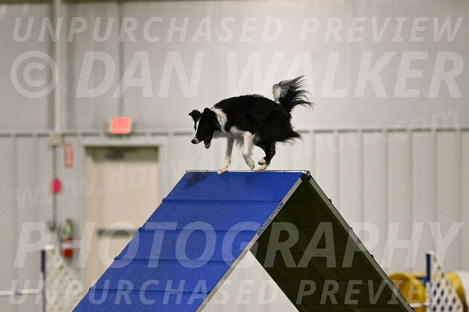 Keeper-Laurie-Wischt-03537