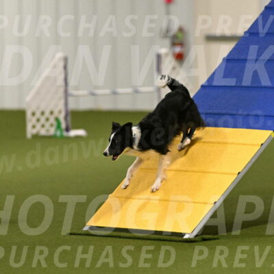 Keeper-Laurie-Wischt-03538