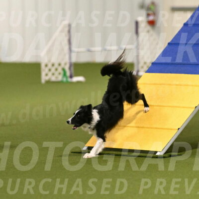 Keeper-Laurie-Wischt-03539