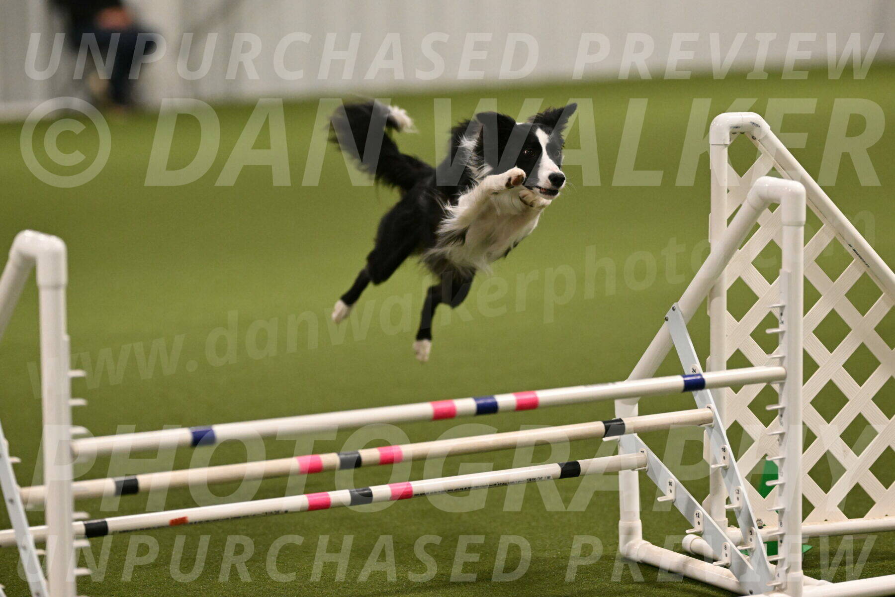 Keeper-Laurie-Wischt-03540