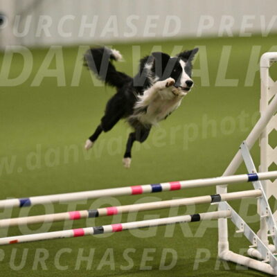 Keeper-Laurie-Wischt-03540