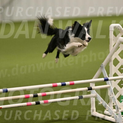 Keeper-Laurie-Wischt-03541