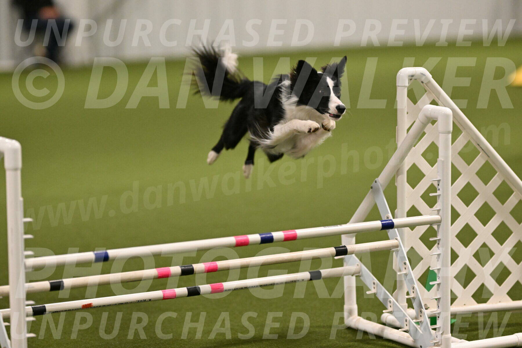 Keeper-Laurie-Wischt-03541