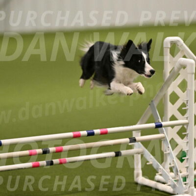 Keeper-Laurie-Wischt-03542