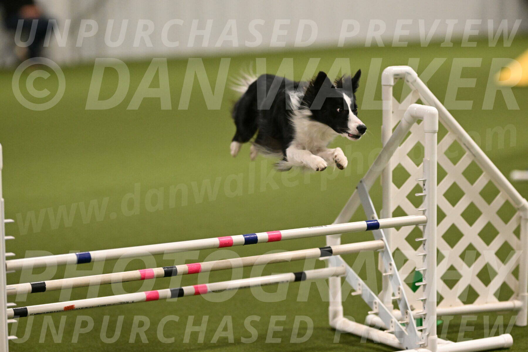 Keeper-Laurie-Wischt-03542